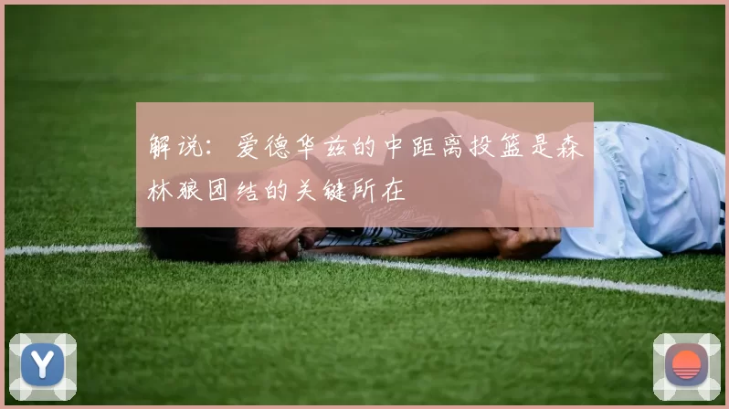 解说：爱德华兹的中距离投篮是森林狼团结的关键所在